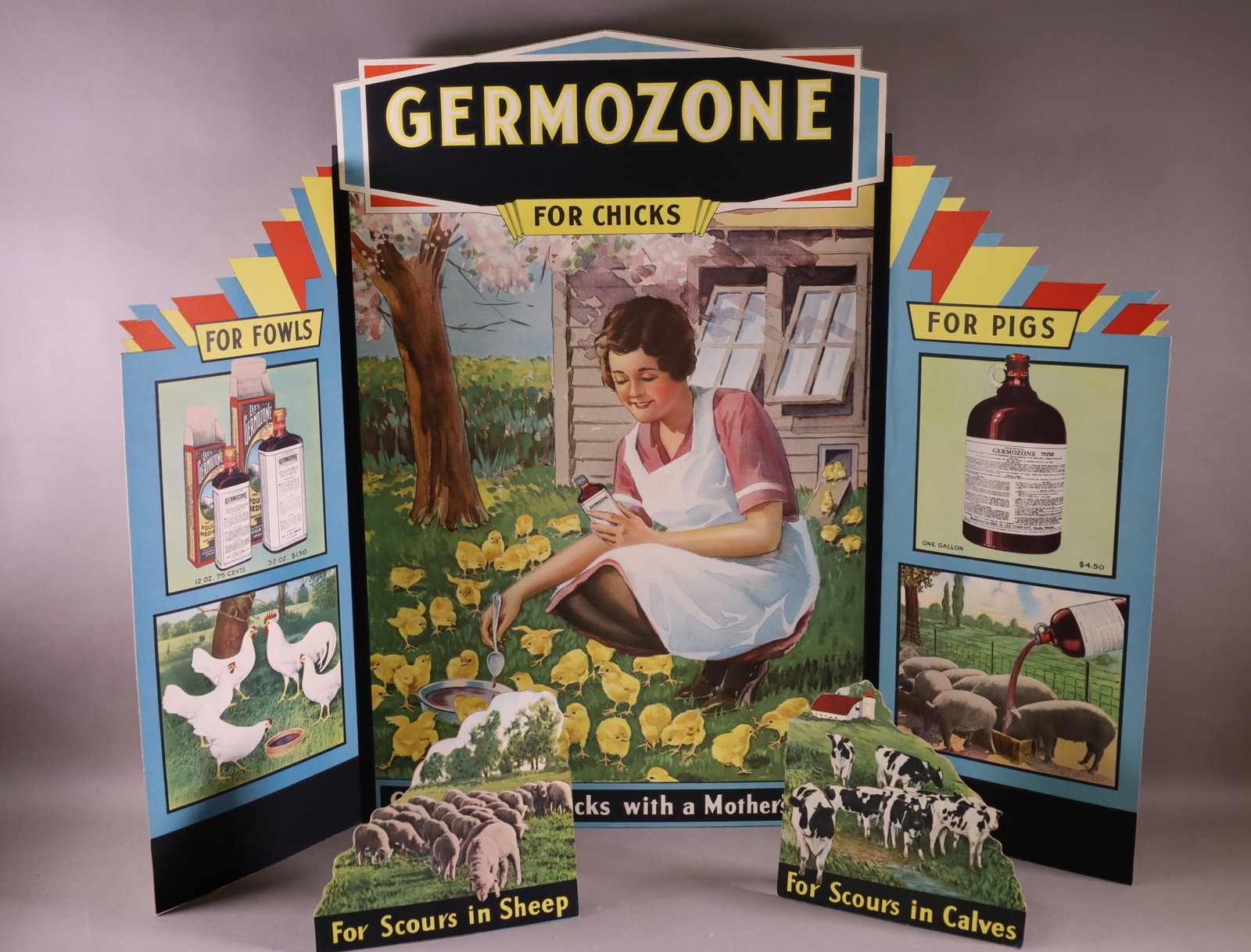 Germozone for Chicks Cardboard Tri-Fold (TAC) (1 of 6)