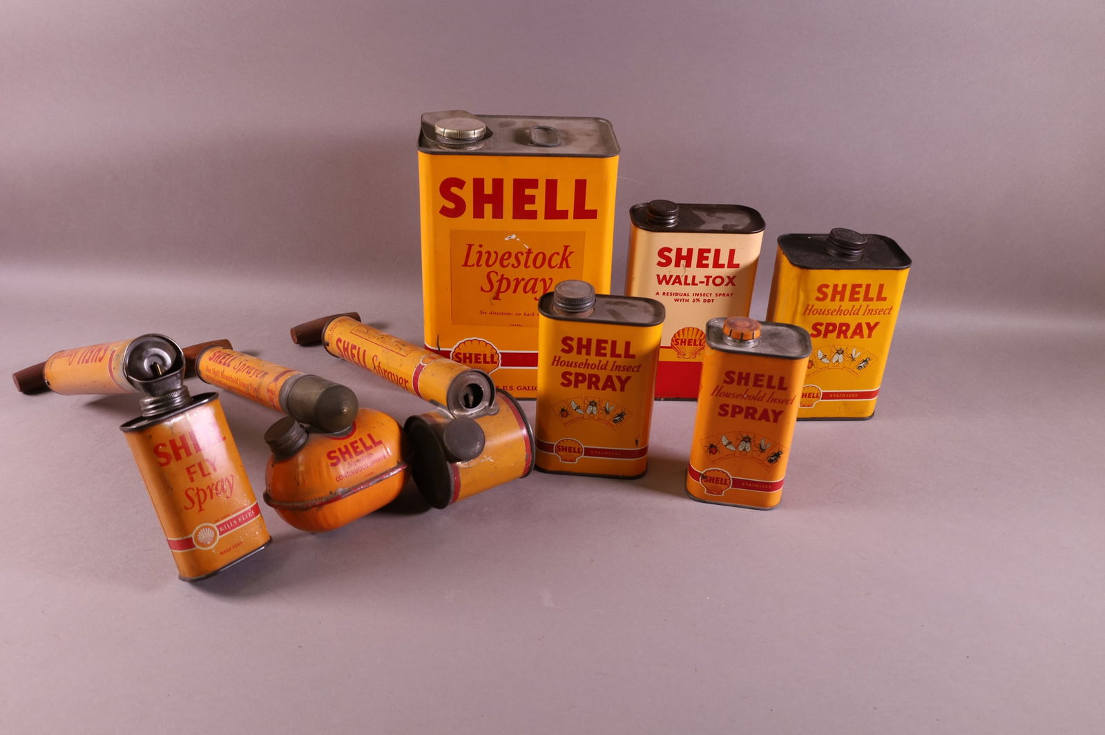 SHELL INSECT ITEMS (1 of 2)