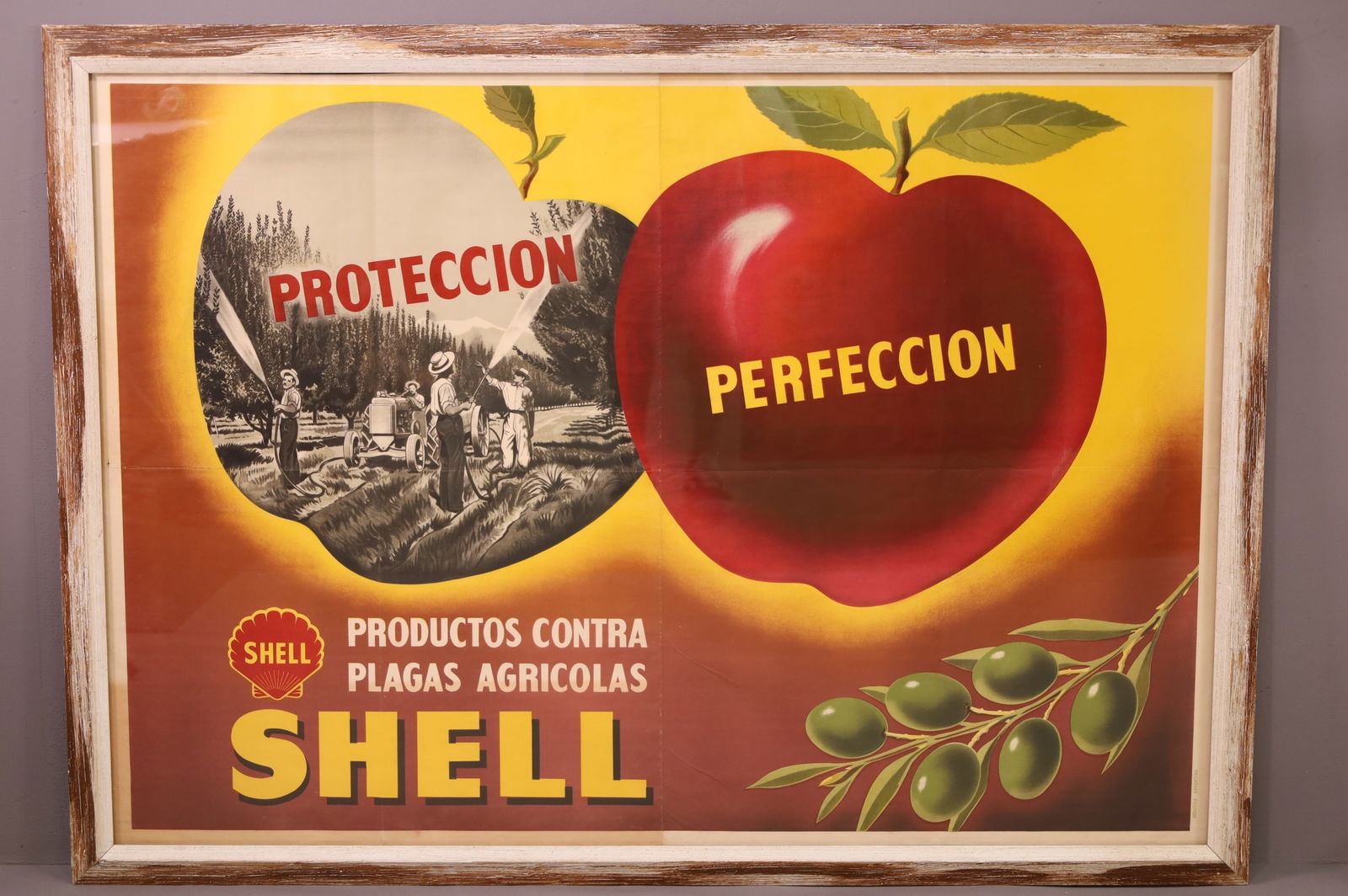 SHELL INSECTICIDE FRAMED AD (1 of 2)