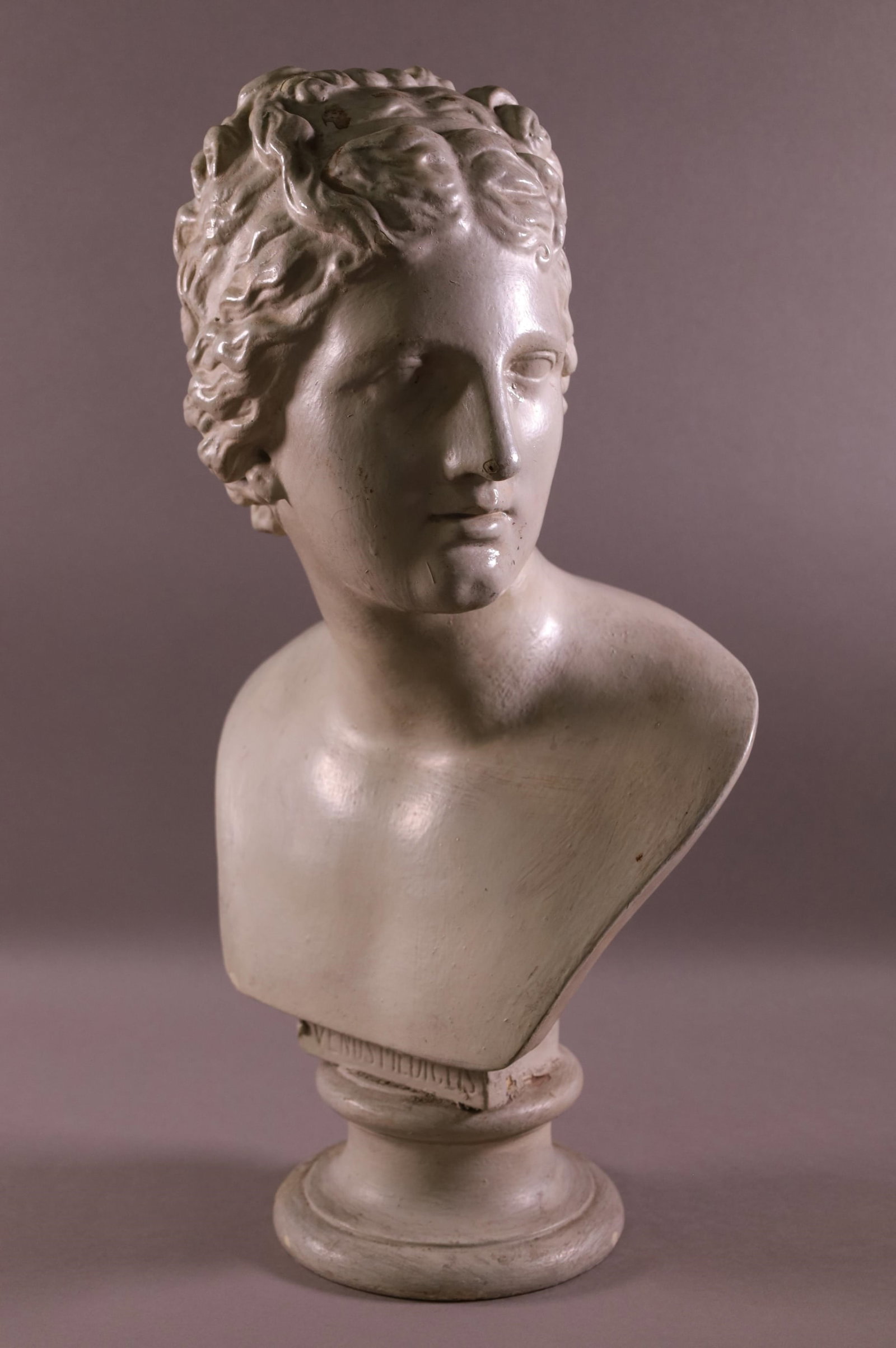TERRA COTTA BUST: LARGE TERRA COTTA BUST, MARKED VENUS MEDICEIS. 20" H.