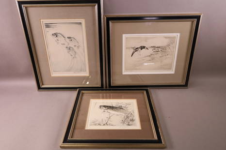 3 ENGRAVINGS: TWO FISH ENGRAVINGS & DUCK ENGRAVING. MARKED HUGH SEARS 13 - 15" W