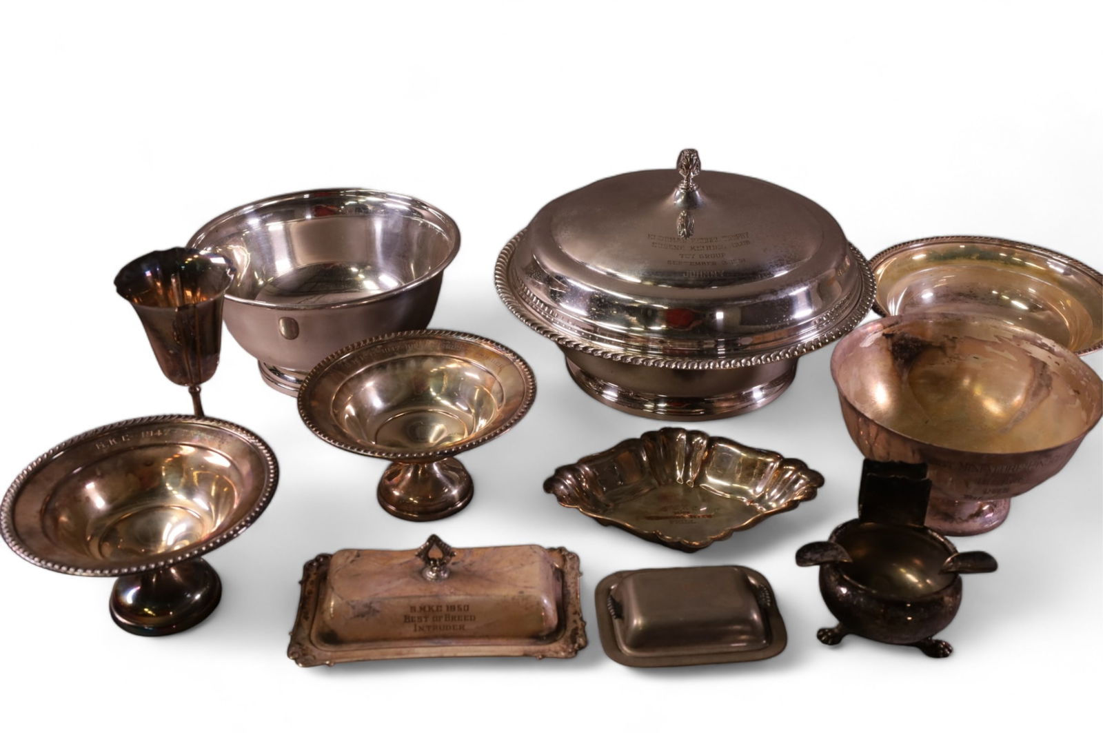 COLLECTION OF SILVERPLATED DOG TROPHIES (1 of 7)