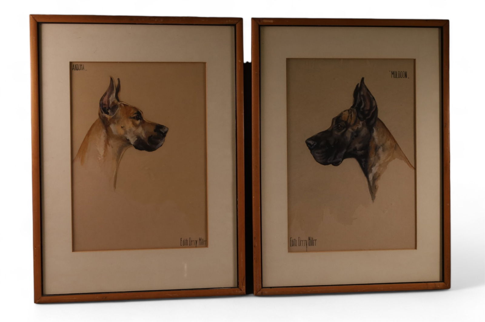 PAIR OF EDITH DERRY MILLER DOG PAINTINGS (1 of 5)