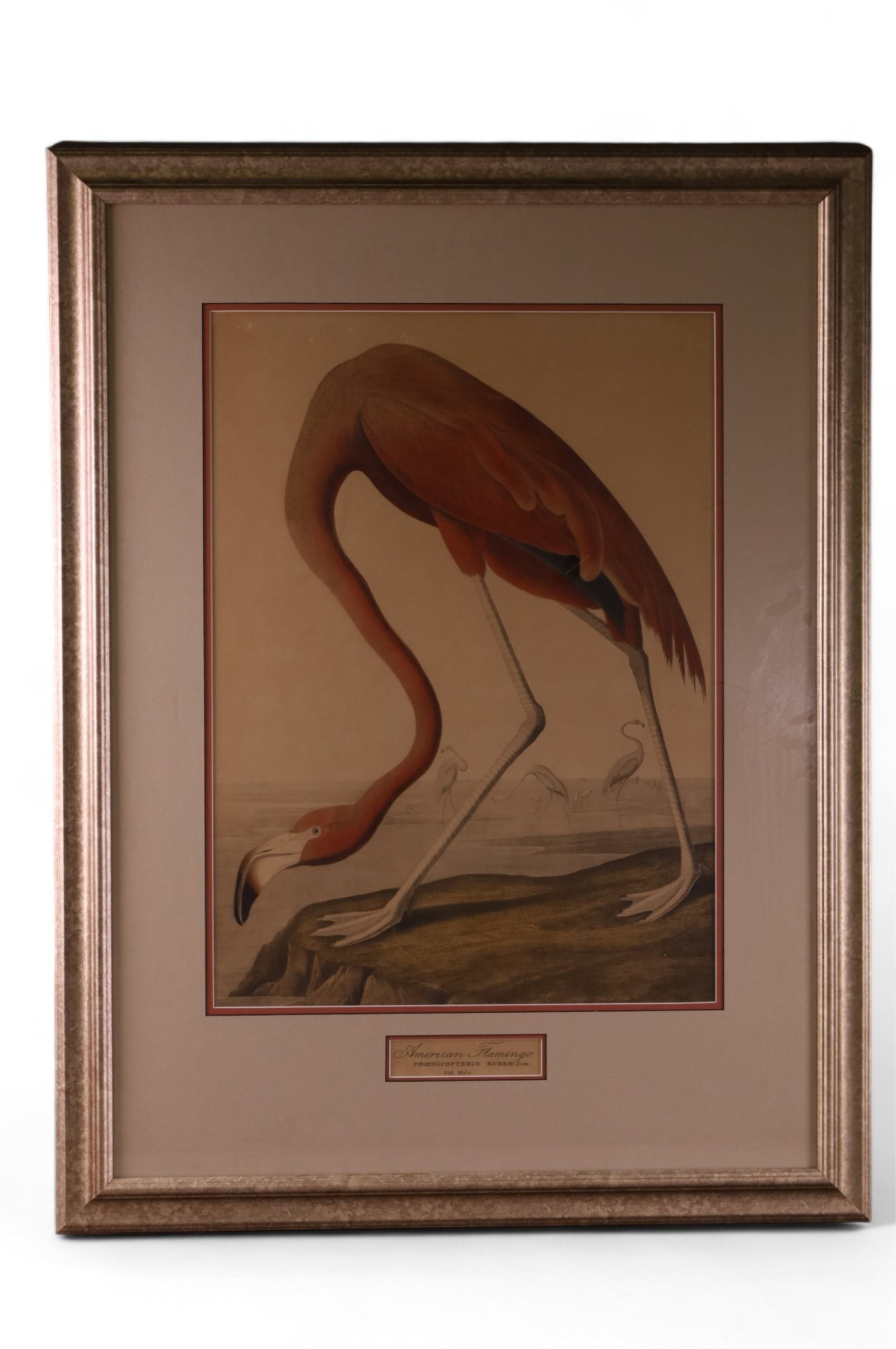 LARGE FLAMINGO PRINT (1 of 3)