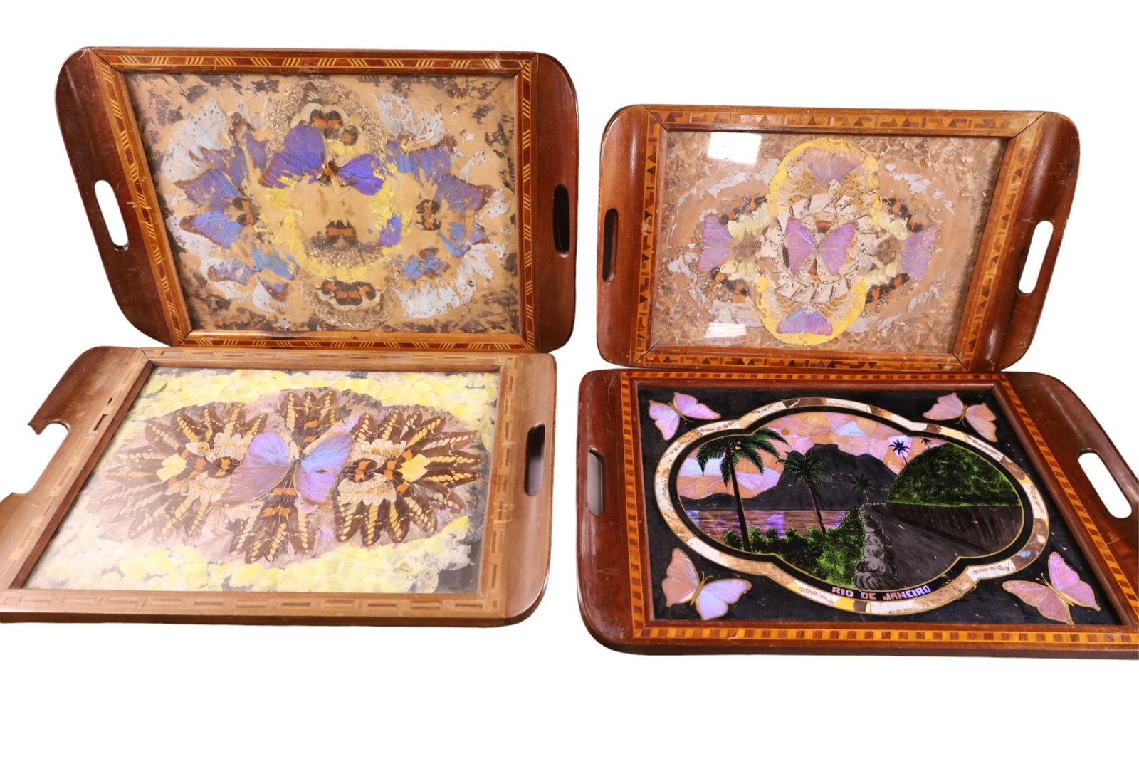 4 BUTTERFLY TRAYS (1 of 5)