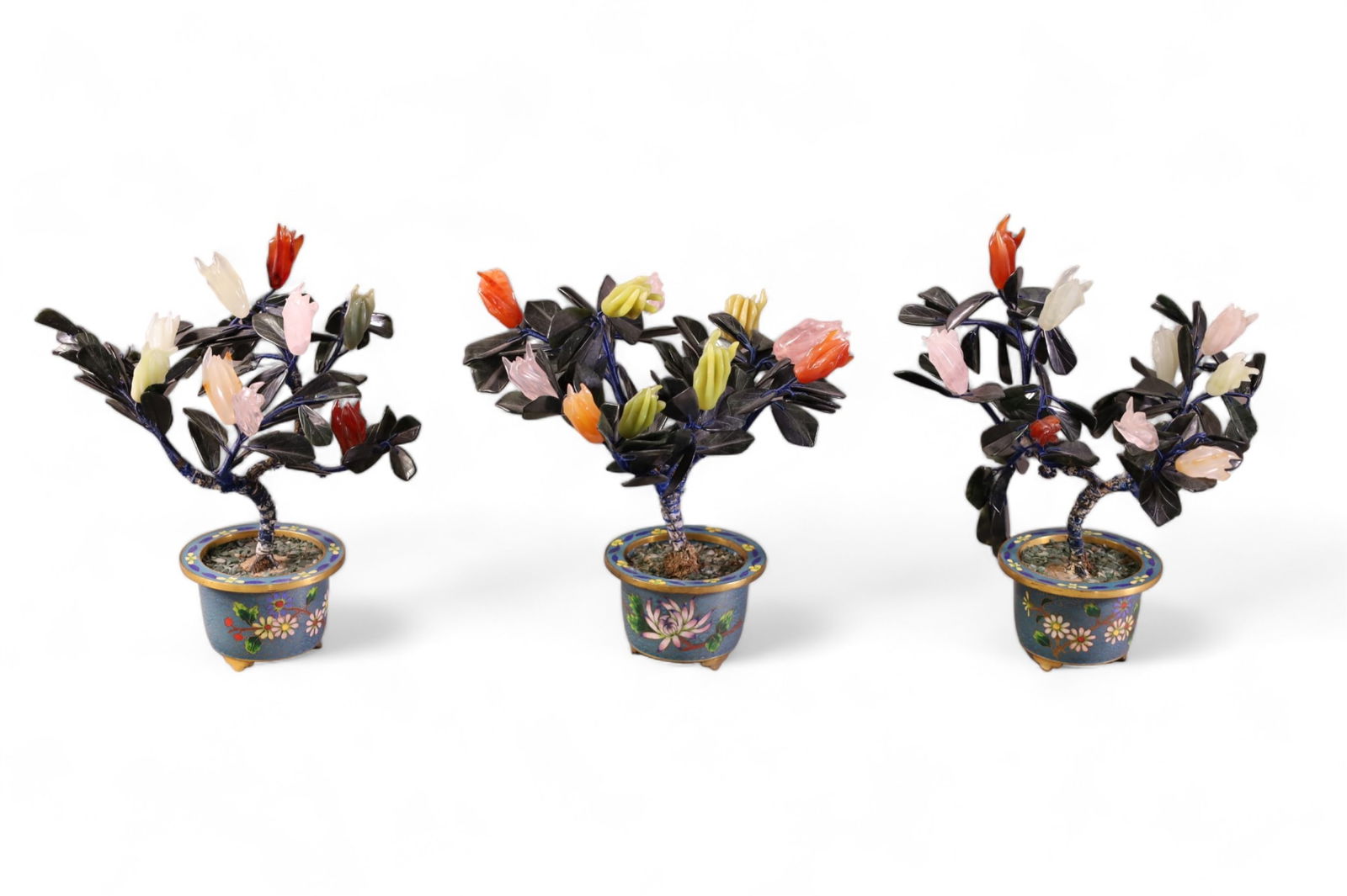 3 JADE TREES (1 of 4)