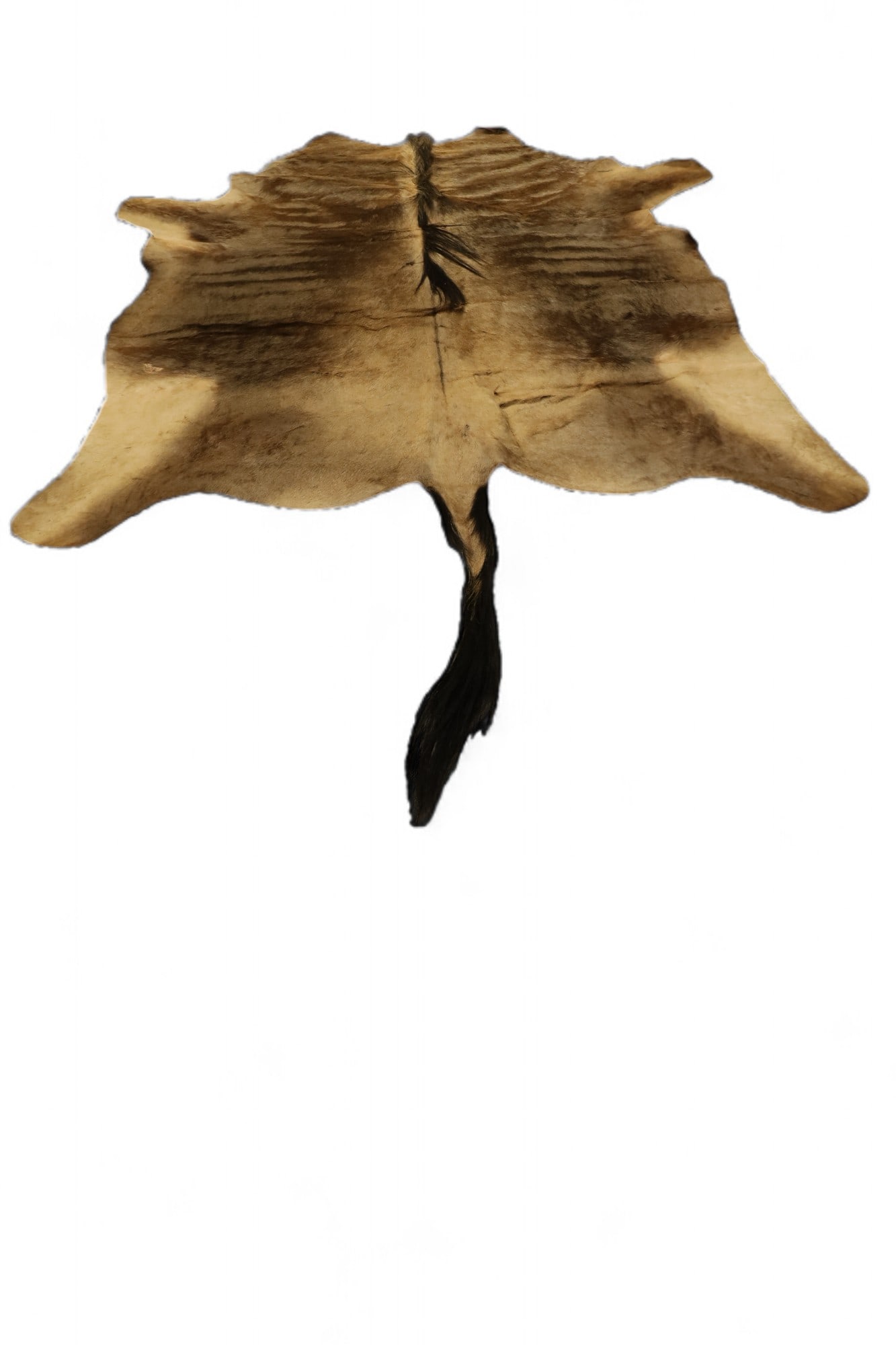 AFRICAN DEER HIDE (1 of 3)