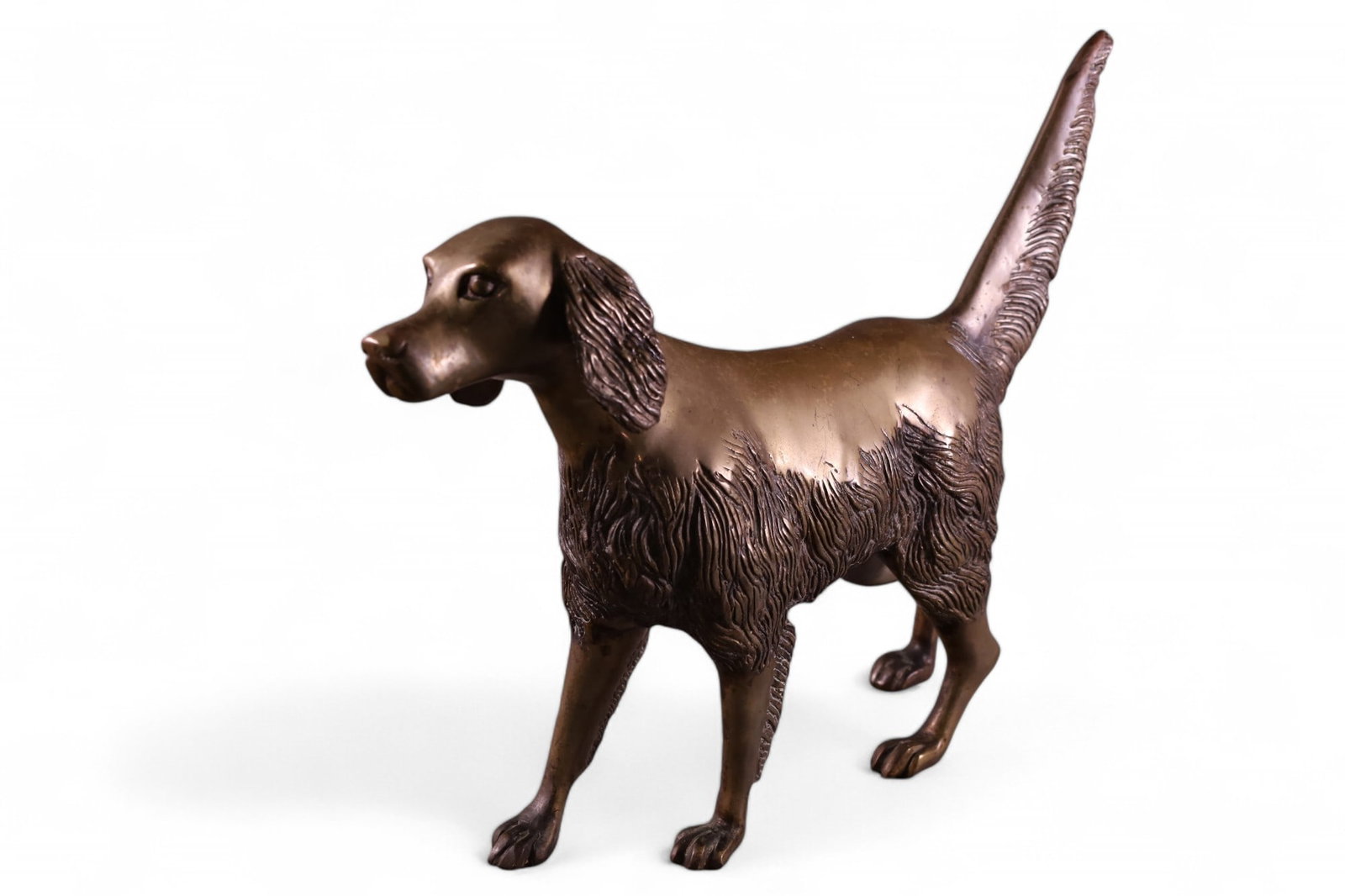 DOG BRONZE (1 of 3)