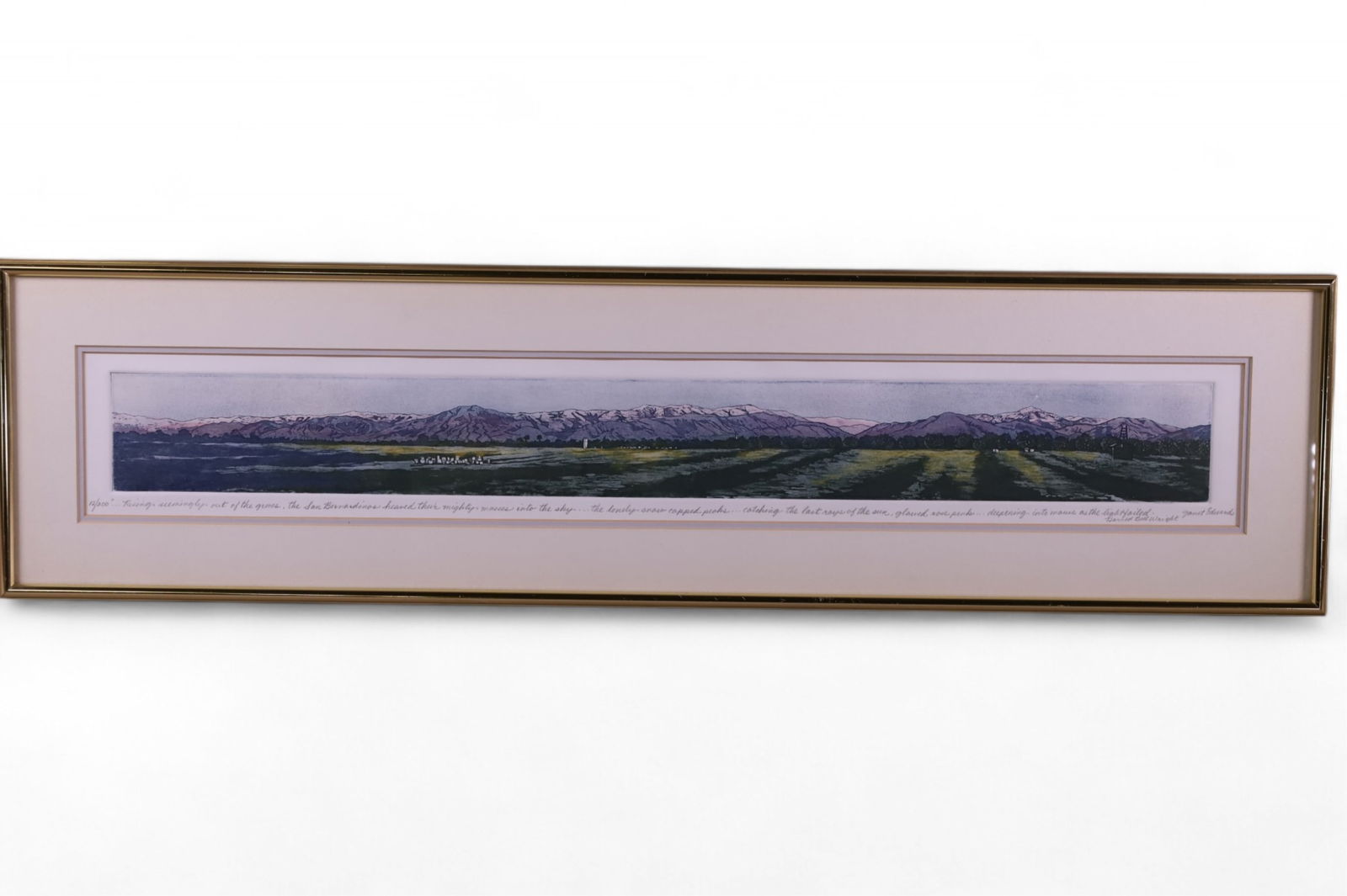 JANET EDWARDS ETCHING (1 of 5)