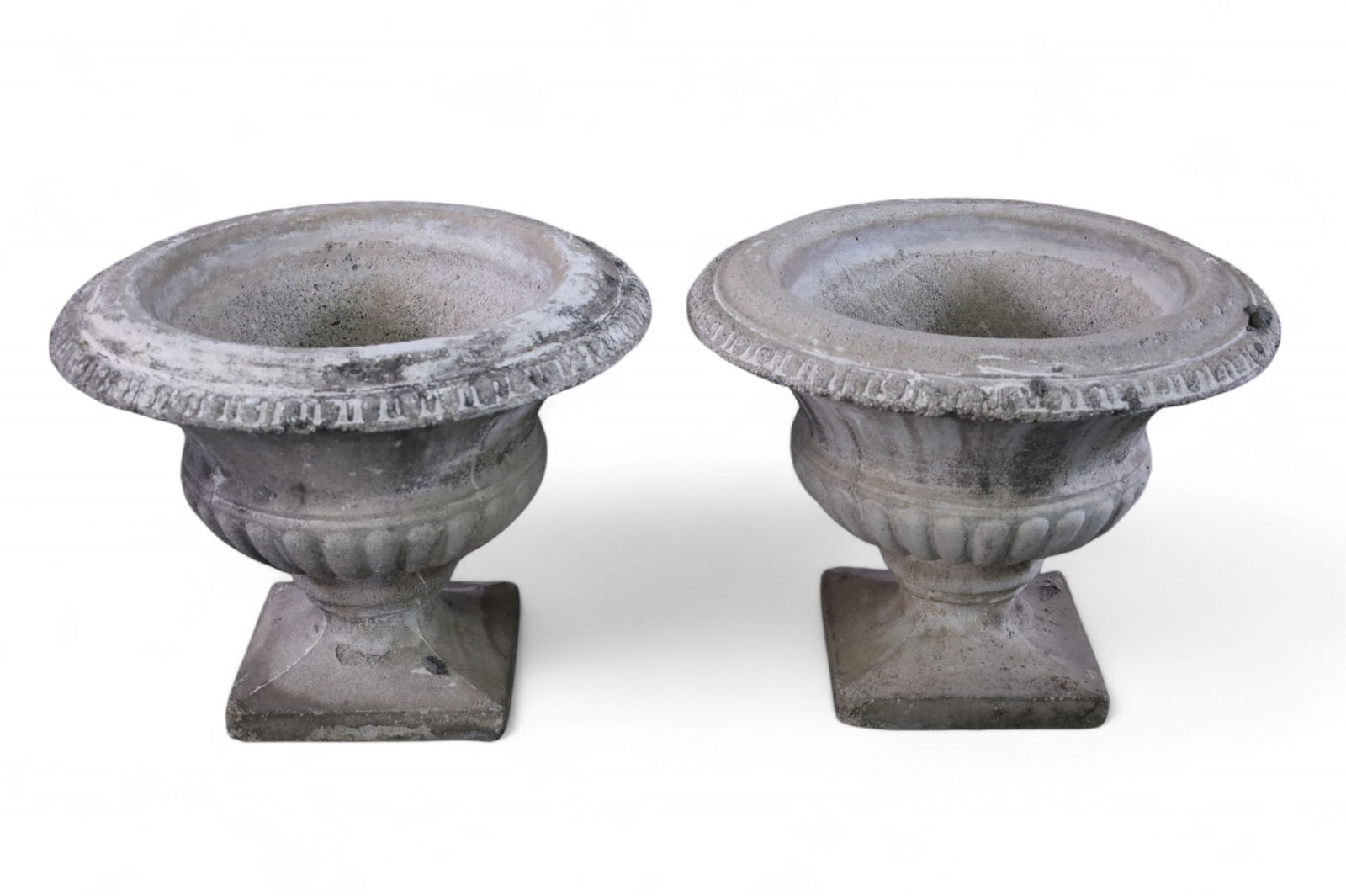 PAIR ON CONCRETE PLANTERS (1 of 3)