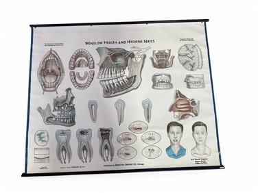 VINTAGE DENTAL POSTER