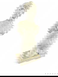 MARBLE TORSO OF DAVID