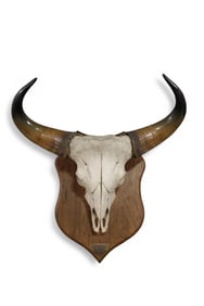 STEER MOUNT