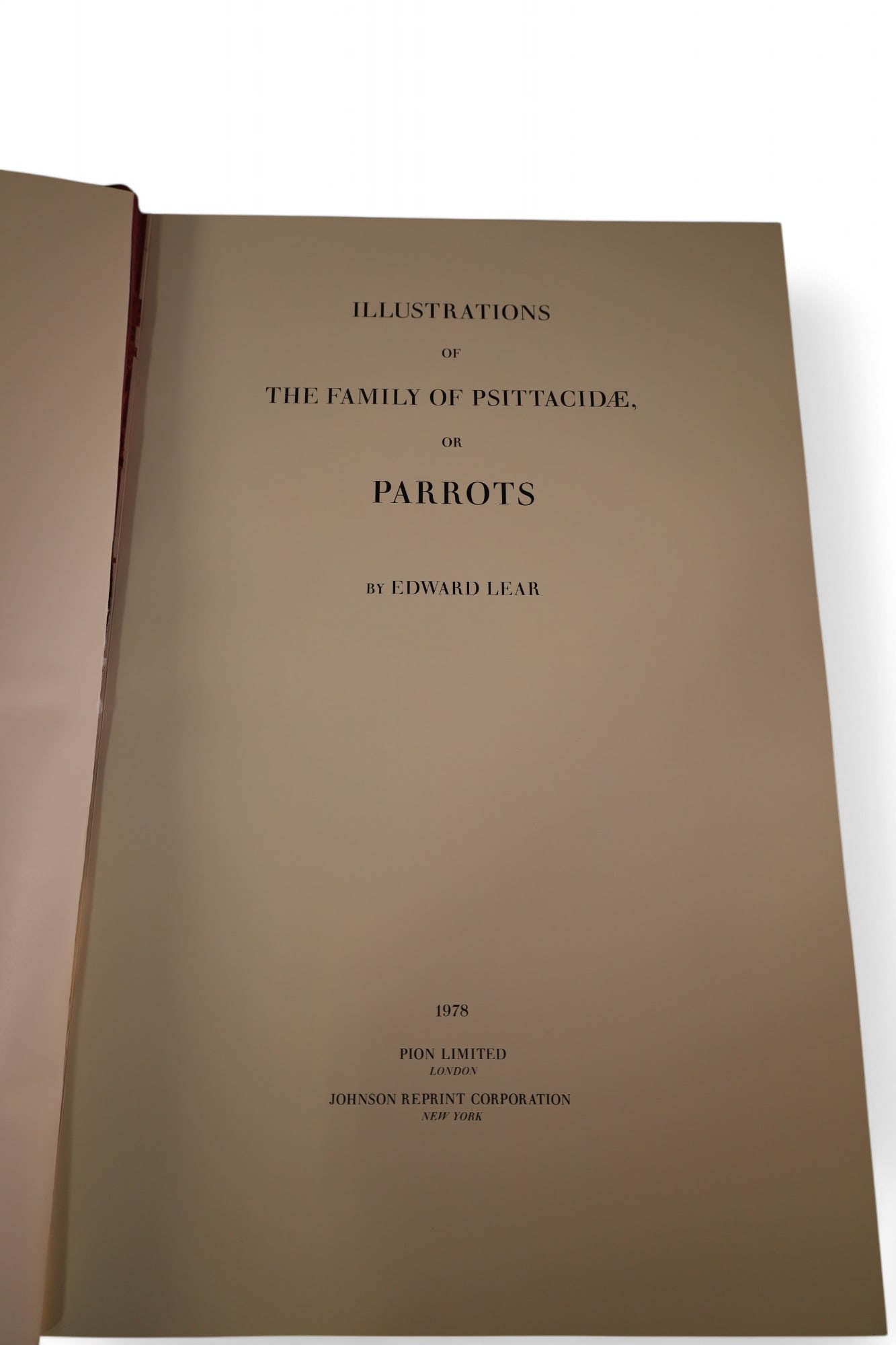 EDWARD LEAR'S ILLUSTRATION OF PARROTS (1 of 4)