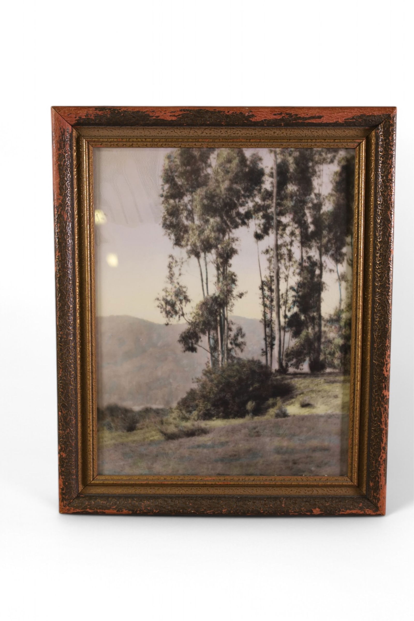 1920'S COLORED PHOTOGRAPH: MOUNTAIN SCENE HAND COLORED PHOTOGRAPH, SOME LOSS TO FRAME. 13" x 16" IN FRAME