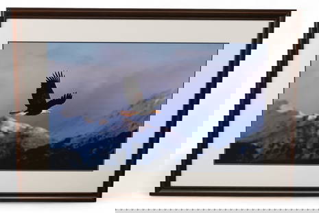 LARGE THOMAS D MANGELSEN NATURE PHOTOGRAPH: NATURE PHOTOGRAPH BY THOMAS D MANGELSEN SIGNED, TITLED HGIH COUNTRY FLIGHT - EAGLE. MINOR DAMAGE TO FRAME. 65" x 45" IN FRAME. THIS ITEM EXCEEDS WEIGHT/SIZE LIMITATIONS FOR IN HOUSE SHIPPING, MUST BE