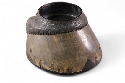 HOOF FORM DESK ITEM