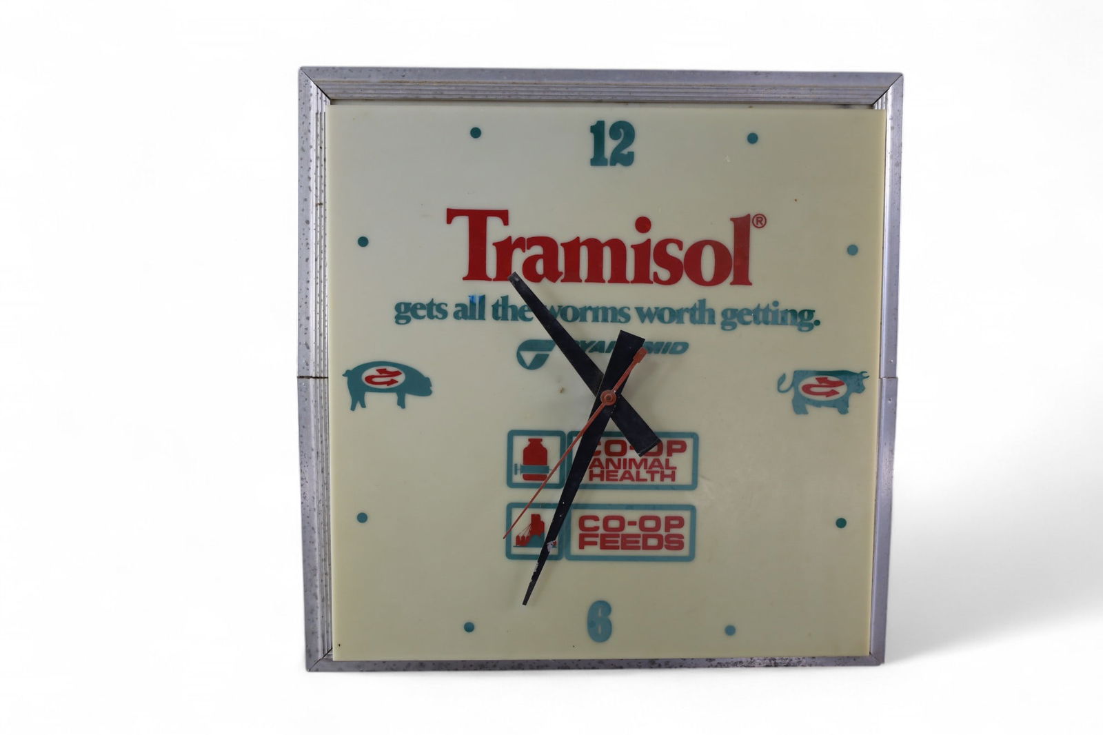 TRAMISOL FEEDS CLOCK (1 of 4)