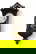 item-209695009=1