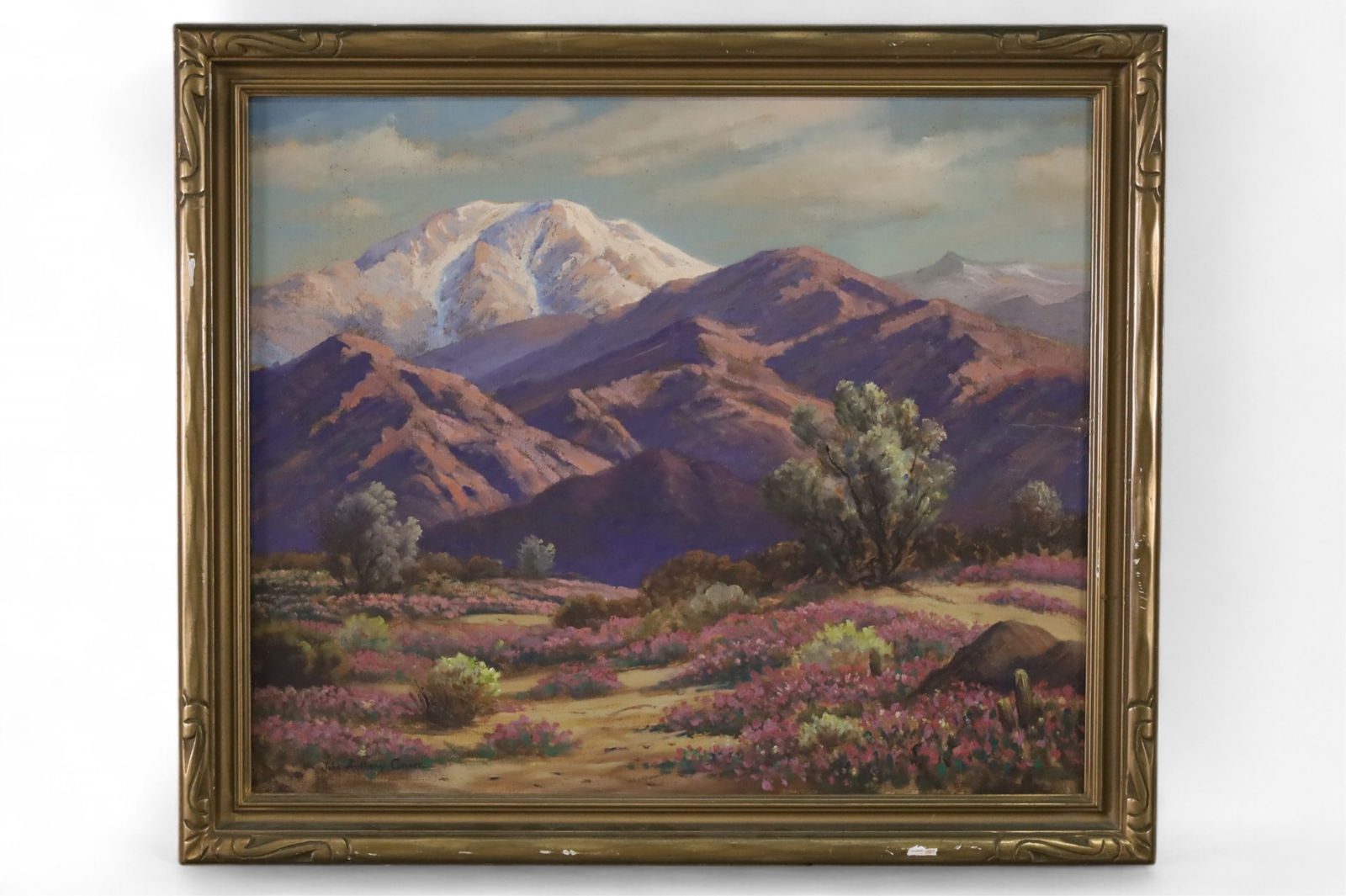 JOHN ANTHONY CONNOR OIL PAINTING: OIL ON CANVAS, SIGNED LOWER LEFT, TITLED SAND VERBENAS MT. SAN JACINTO, NEAR PALM SPRINGS CA. SOME PAINT LOSS TO FRAME. SCRATCHES TO CANVAS. 30" x 25" IMAGE SIZE / 35" x 30" IN FRAME.