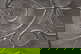 item-209695055=4