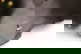 item-209695122=3