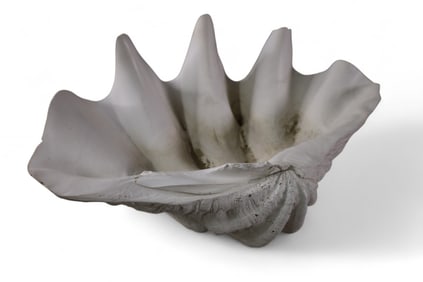 LARGE CLAM SHELL