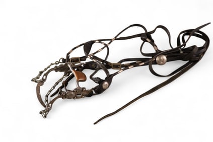 COLLECTION OF HORSE ITEMS