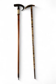 2 HORN HANDLED WALKING STICK