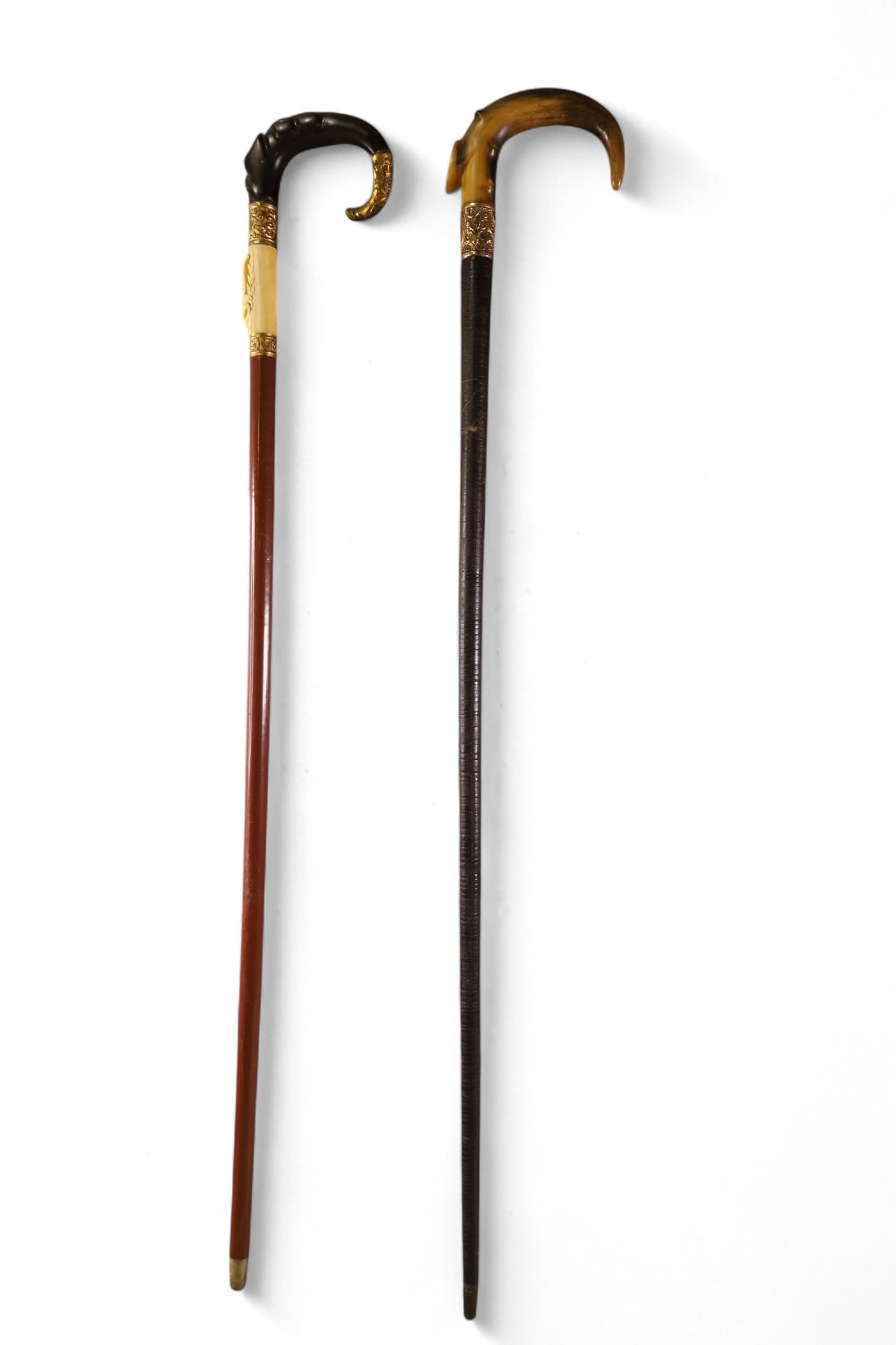 2 HORN WALKING STICKS: GOLD PLATED BAND & GOLD PLATED WITH BONE HANDLE WALKING STICKS. 36" L.