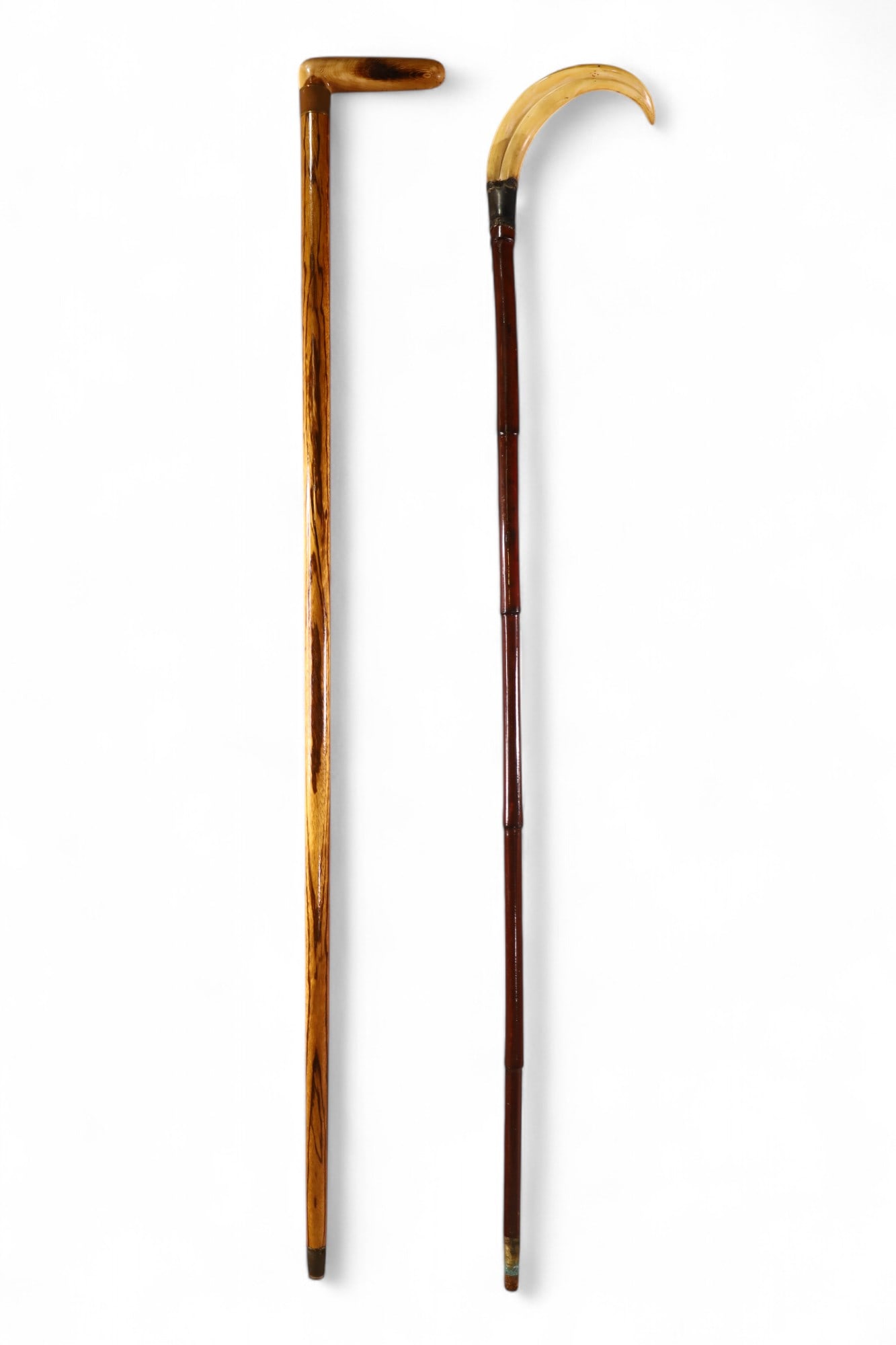2 WALKING STICKS (1 of 3)