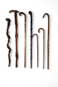 7 WALKING STICKS
