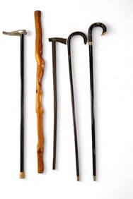 5 WALKING STICKS