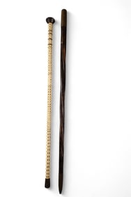 2 WALKING STICKS