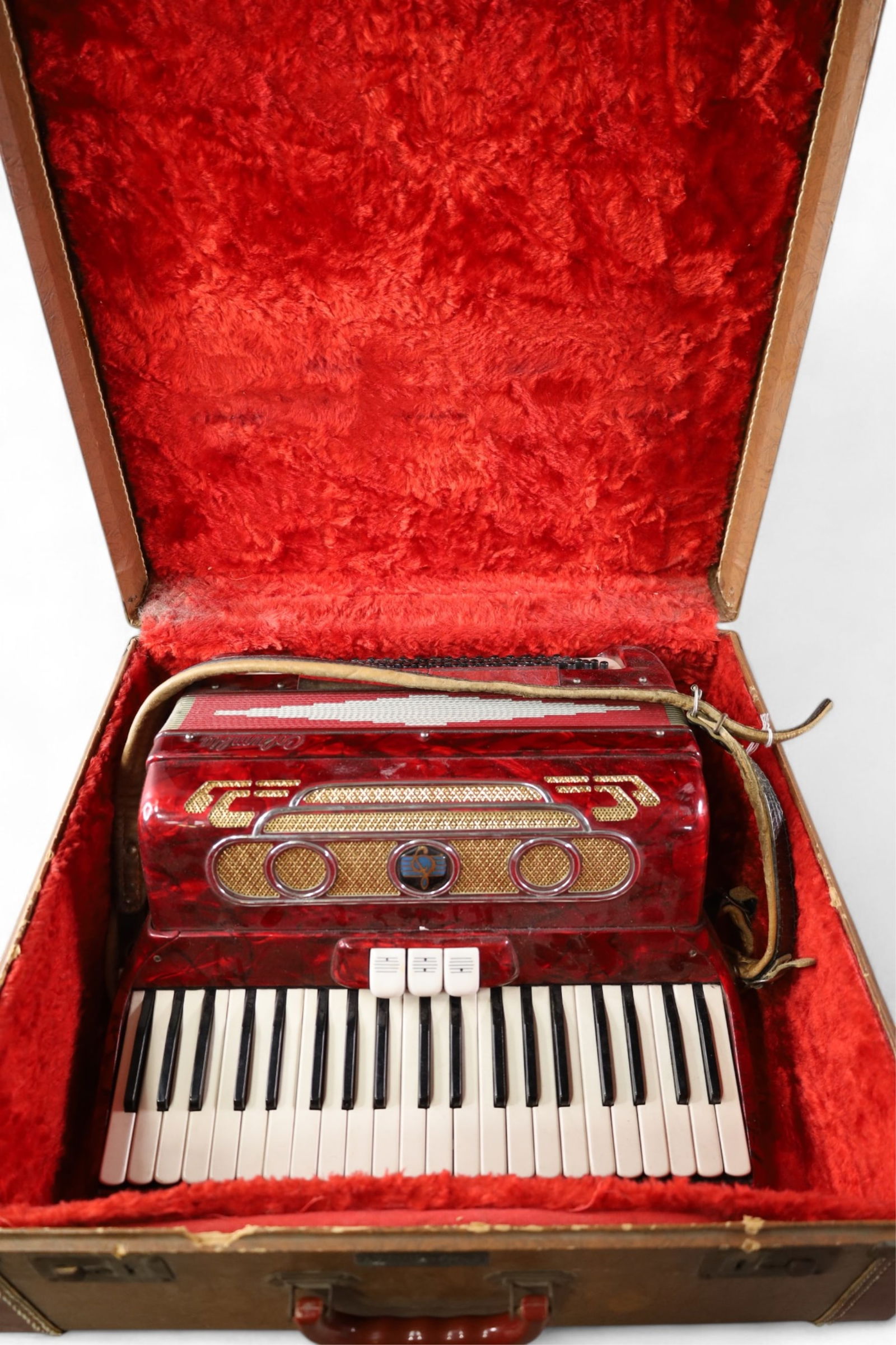 VINTAGE ACCORDIAN (1 of 3)