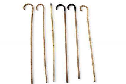 6 WALKING STICKS