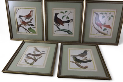 5 FRAMED FRENCH BIRD PLATES