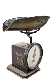 AMERICAN FAMILY SCALE
