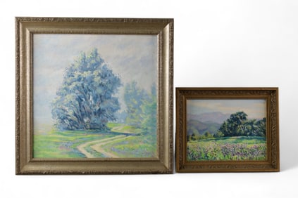 2 THOMAS VAN STEIN OIL PAINTINGS