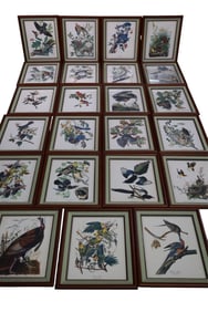 LARGE COLLECTION OF FRAMED BIRD PLATES