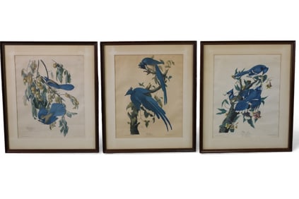 3 AUDUBON FRAMED PLATES
