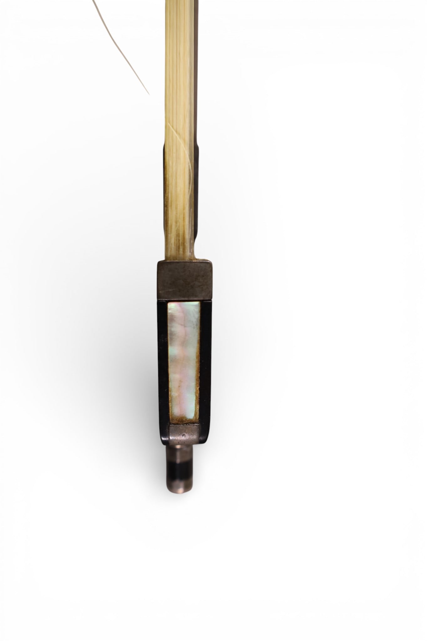 ALBERT NURNBERGER BOW - 3