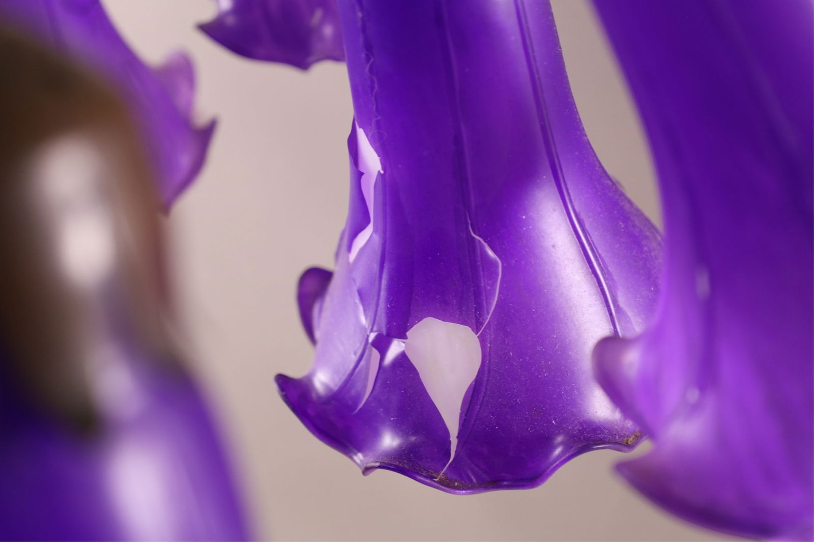 CONTEMPORARY TULIP LAMP - 3