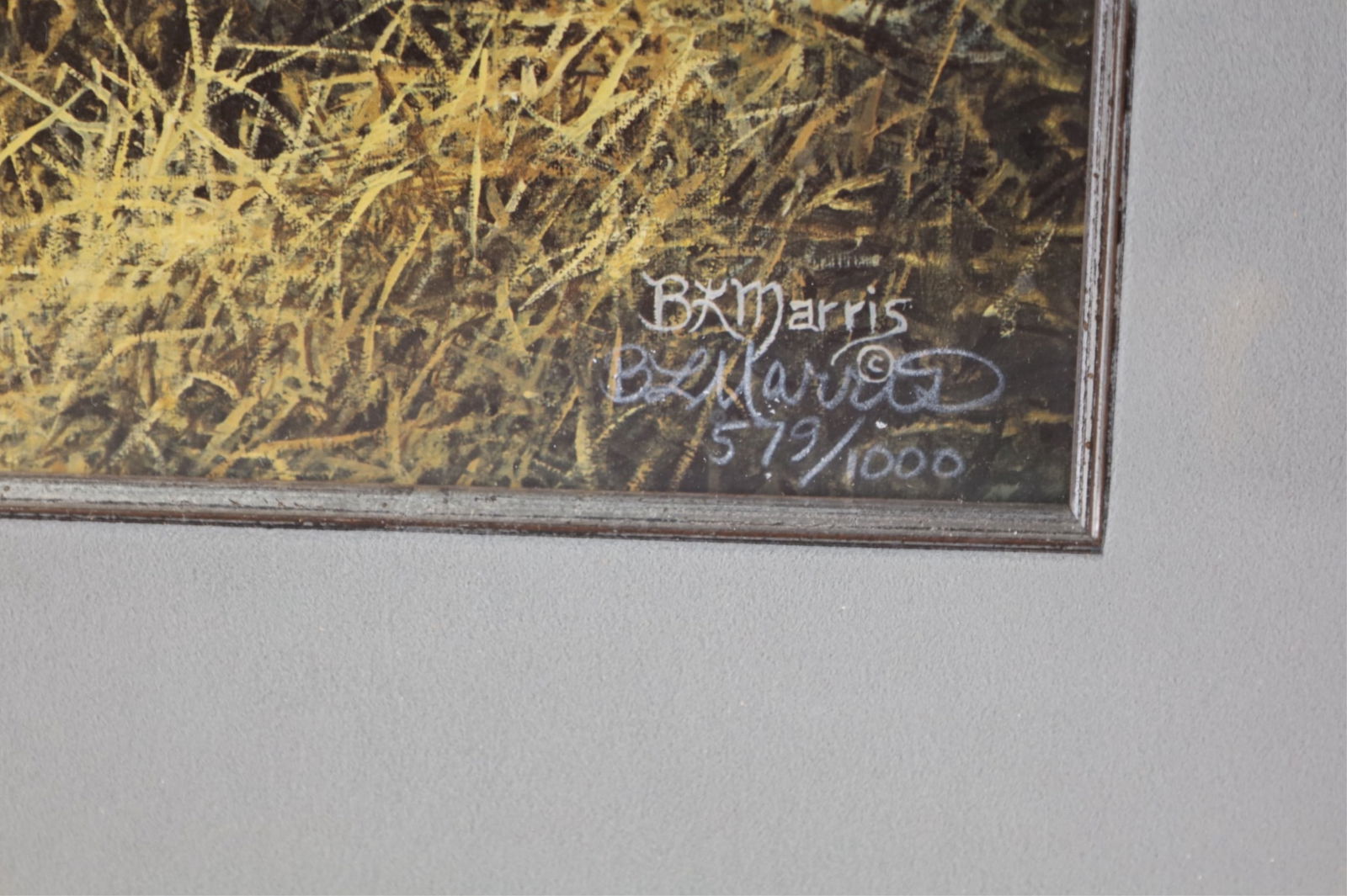 FRAMED CAT PRINT - 2