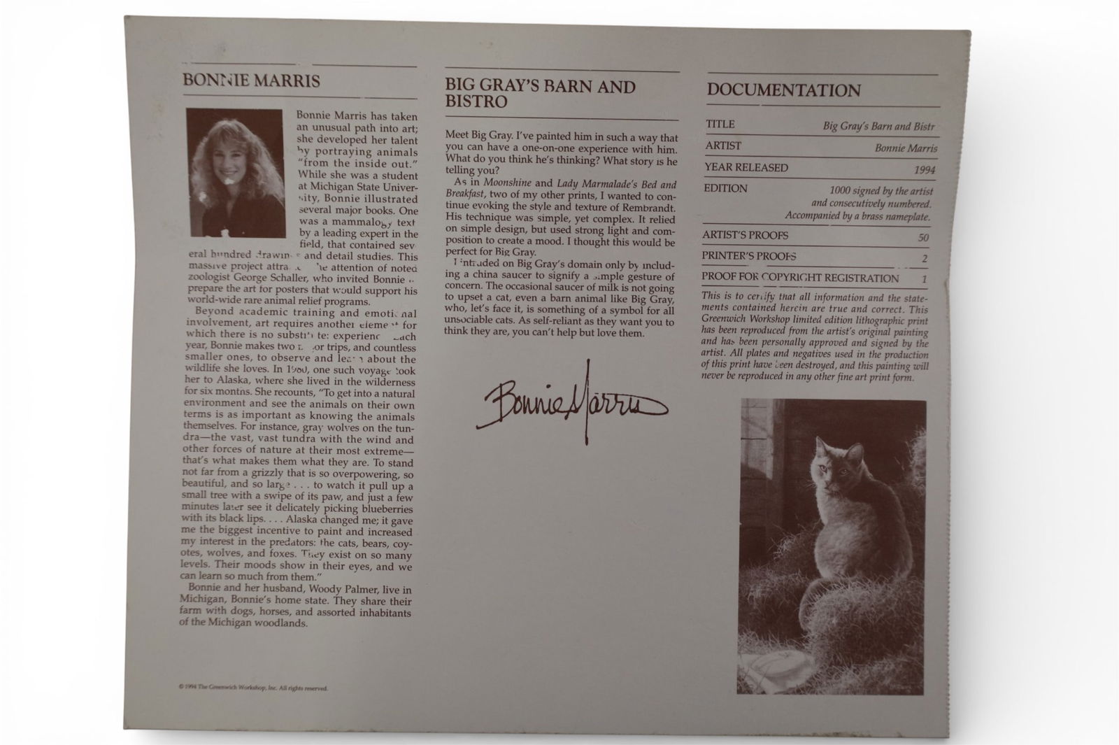 FRAMED CAT PRINT - 3