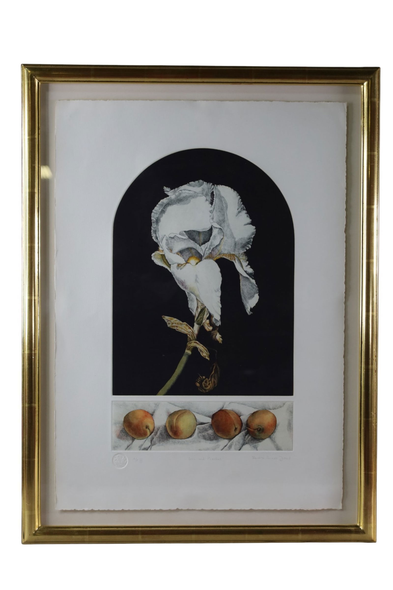 VARNAY JONES ARTIST PROOF: SIGNED LOWER RIGHT, TITLED IRIS AND PEACHES. 21" x 28"
