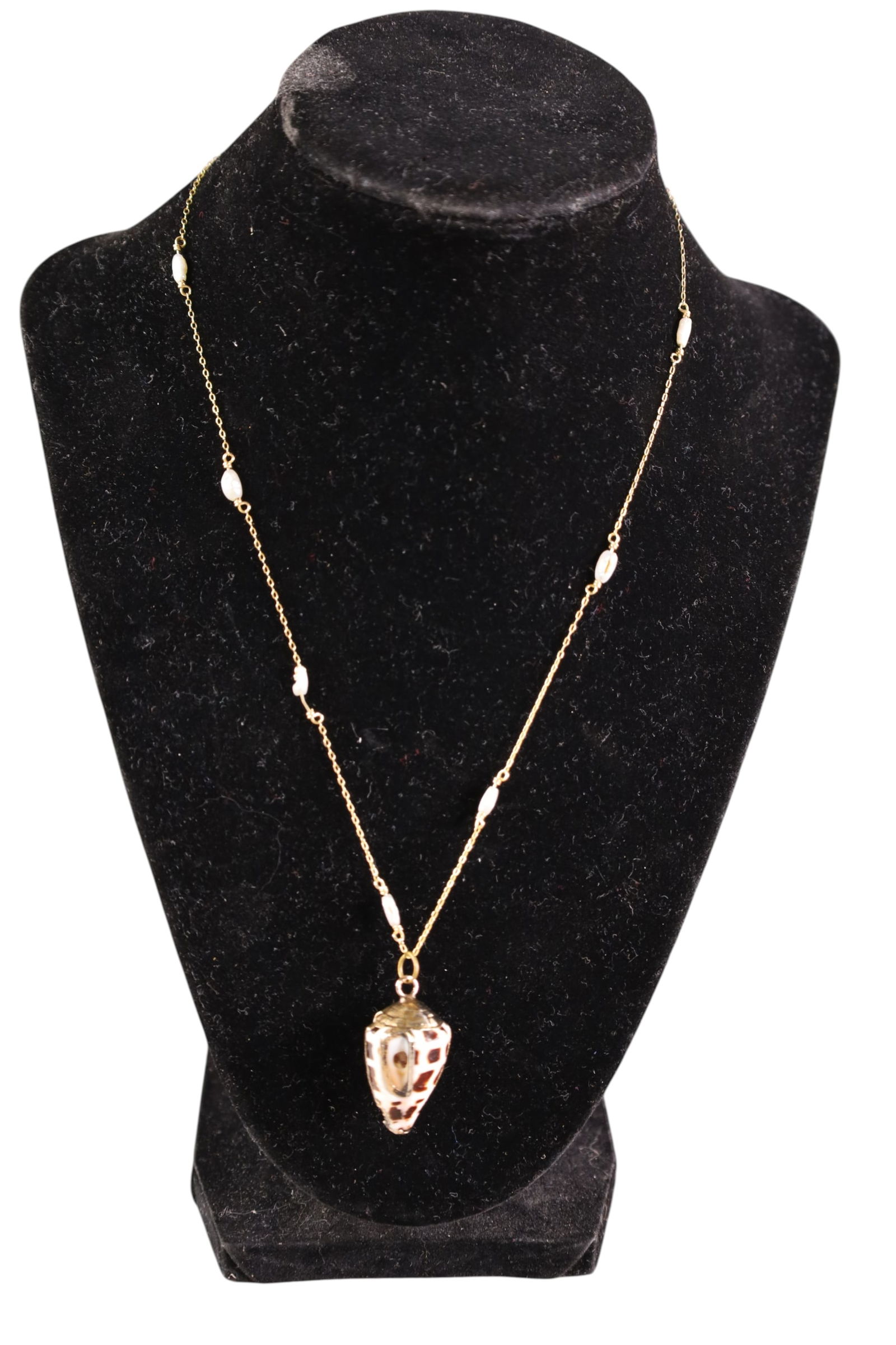 14K GOLD SHELL NECKLACE (1 of 2)