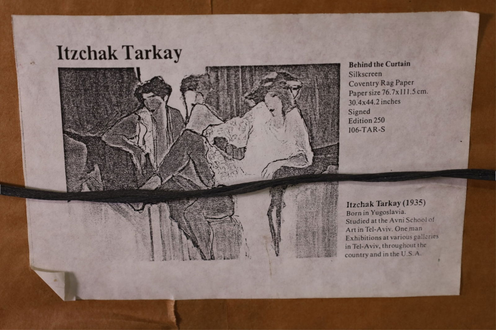 FRAMED TARKAY SILKSCREEN - 4