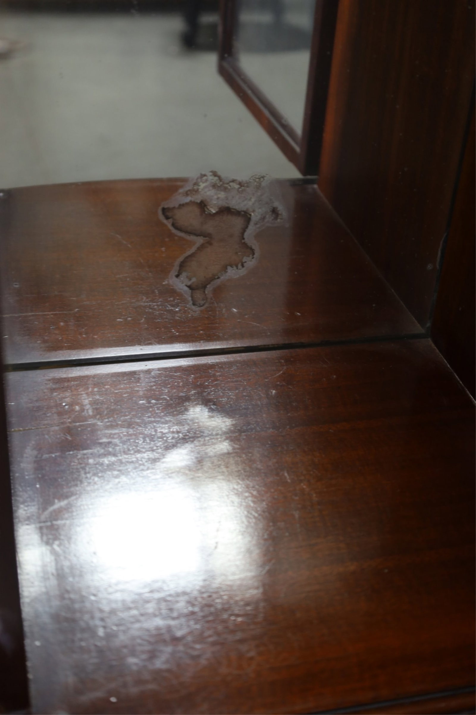 MAHOGANY CURIO - 4