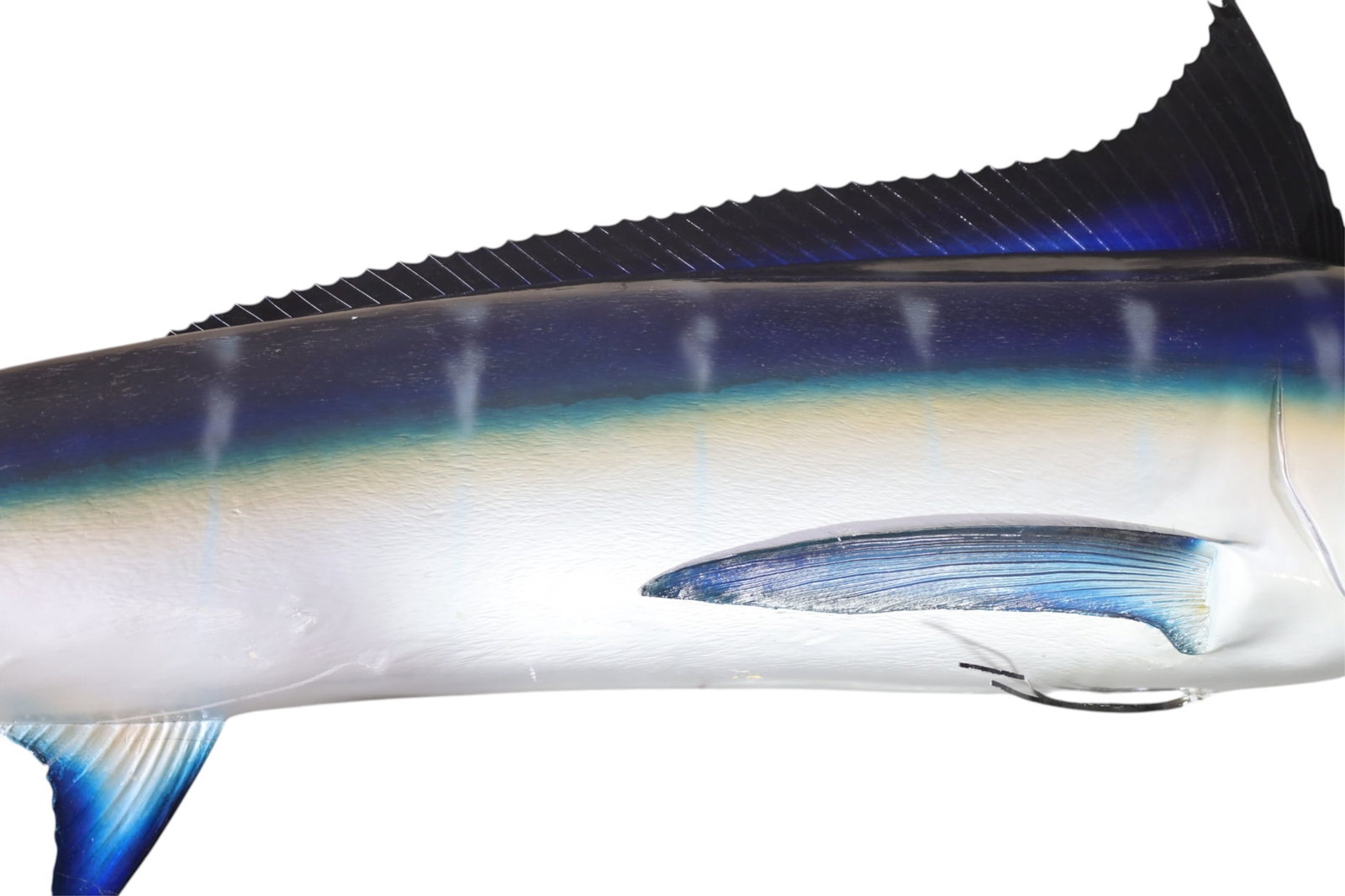 LARGE BLUE MARLIN - 3